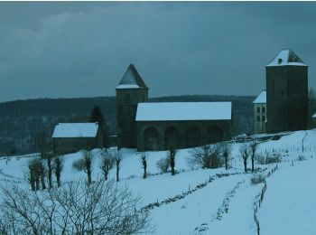 Tocht Te voet Nasbinals - chemin de Saint-Jacques-de-Compostelle pour randonneurs avec animaux (chien, ane, cheval) ou VTT - Photo