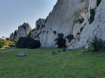 Excursión Senderismo Mouriès - Les Castellas des Baux - Photo