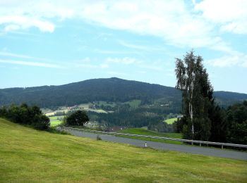 Tour Zu Fuß Stainz - Rundwanderweg A3 - Photo