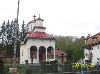 Tocht Te voet Sovata - Sovata (Gara Mică) - Creasta Stejarului - Sovata (Centru) - Photo