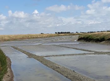 Tour Wandern L'Épine - EPINE 12 JUIN 2019 - Photo