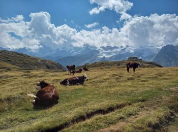 Tocht Stappen Besse - Plateau d'Emparis 26.8.22 - Photo