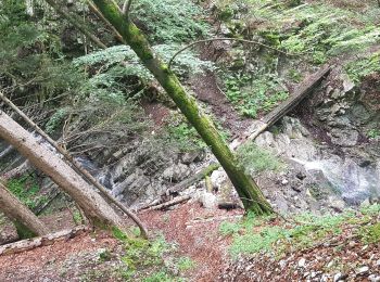 Excursión Senderismo Saint-Laurent-du-Pont - Le cul de la lampe par le Rocher du Pin - Photo