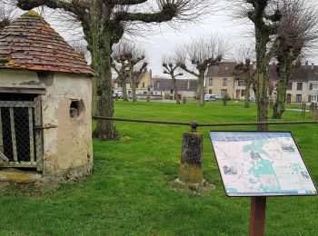 Excursión Senderismo Villeneuve-sur-Fère - Villeneuve sur Fêre du 4 02 2020 - Photo