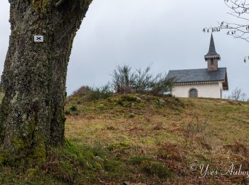 Randonnée Marche Le Ménil - Boucle de La Chapelle de la Pitié  - Photo