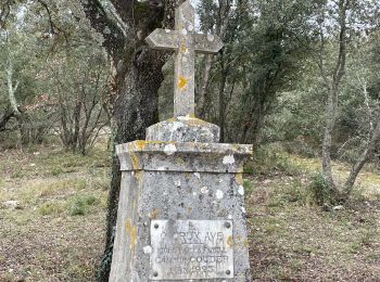 Excursión Senderismo Vacquières - Vaquière La Chapelle d’Aleyras - Photo