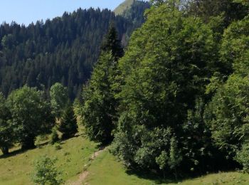 Tour Wandern La Pesse - CRETS CHALAM, AU MERLE et NERBIER - Photo