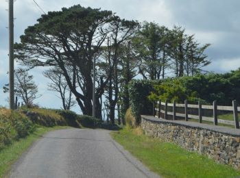 Excursión A pie West Cork - Cahergal Loop Walk - Photo