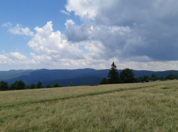 Tocht Te voet  - Ojdula (centru) - Peștera Kolik - Vf. Oituz izvor - Photo