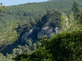 Trail Walking Saint-Zacharie - St zacharie - Photo