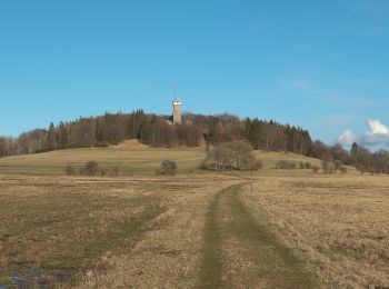 Excursión A pie Hausen - Rhön-Rundweg Hausen 6 - Photo