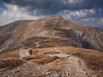 Percorso A piedi Kościelisko - Gronik - Małołączniak - Photo