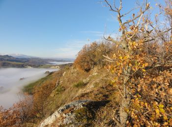 Trail On foot Borgo Tossignano - IT-705 - Photo