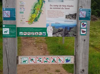 Randonnée Marche Le Valtin - tanet lac vert le col du tanet - Photo