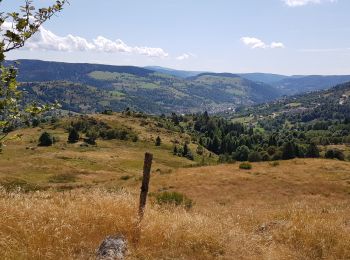 Randonnée Vélo électrique La Bresse - petit tour de la bresse - Photo