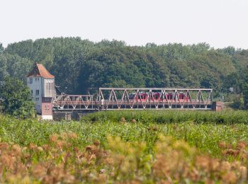 Percorso A piedi Ulsnis - Erholungsort Ulsnis: Rundweg Dallacker, Gunneby - Photo