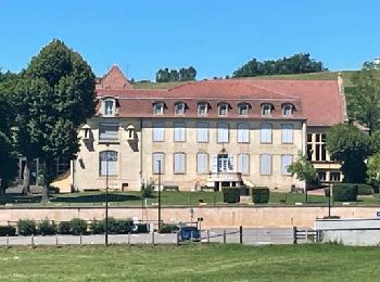 Tour Wandern Saint-Nizier-sous-Charlieu - St-Nizier-sous-Charlieu : entre châteaux et collines - Photo