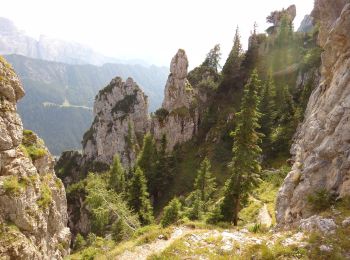 Tocht Te voet Primiero San Martino di Castrozza - Sentiero delle Regade - Photo