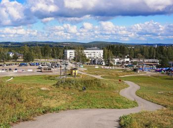 Trail On foot Jyväskylä - Luontopolku - Photo