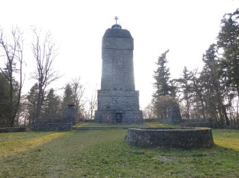 Randonnée A pied Inconnu - Rundwanderweg Darmstadt Ludwigshöhe 1: Herrgottsberg - Weg - Photo