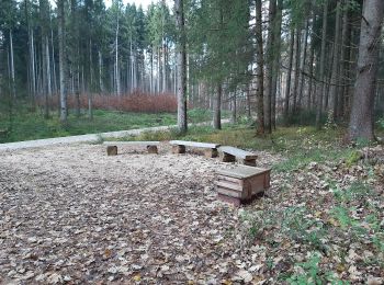 Excursión A pie Jettingen-Scheppach - Rundum bei Glöttweng - Photo