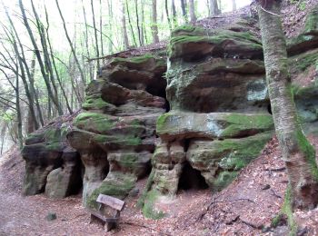 Tour Zu Fuß Blieskastel - Erlebnisweg 