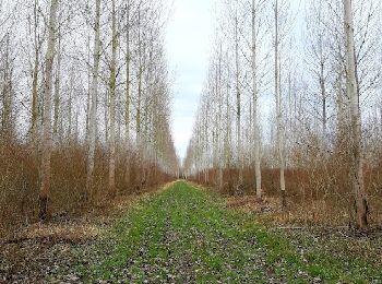 Excursión Senderismo Romilly-sur-Seine - ROMILLY SUR SEINE, le Gué de Vailly  - Photo