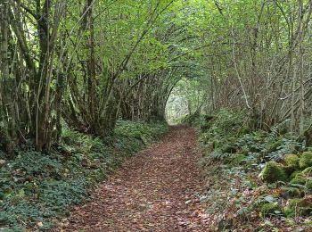 Tour Wandern Faucogney-et-la-Mer - reco 100 etangs suite - Photo