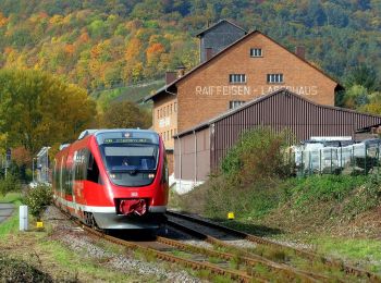 Percorso A piedi Wolfstein - Leienbergweg - Photo