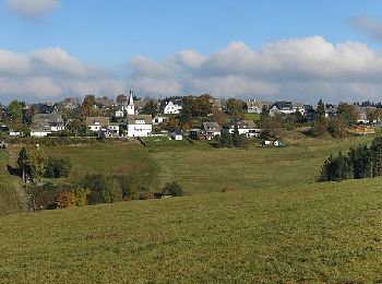 Percorso A piedi Schmallenberg - Schwedensteig - Heidenstrasse - Photo