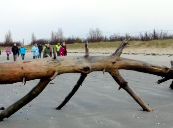 Tocht Stappen Marennes-Hiers-Brouage - 17 marennes plage  7km - Photo