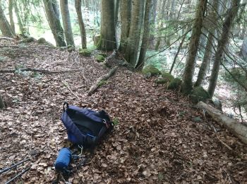 Tour Wandern Septmoncel les Molunes - 190627 - Jura - GdCermoi - Photo