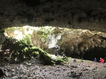 Excursión Senderismo Bouziès - Vallée du lot - Vallée du Celle - Photo