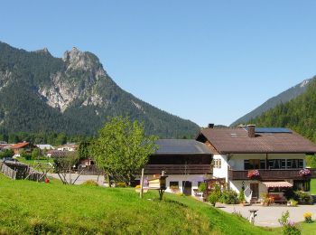 Tour Zu Fuß Bischofswiesen - Wanderweg 78 (Rund um den Niernthalkopf) - Photo