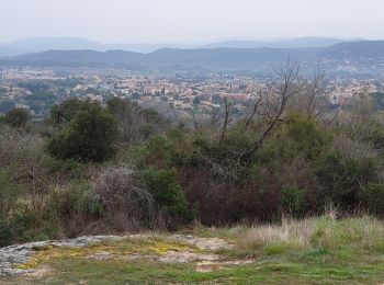 Excursión Senderismo Le Muy - LE MUY - LE ROCHER DE ROQUEBRUNE - Photo