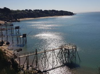 Tocht Stappen Les Moutiers-en-Retz - mardi après midi - Photo