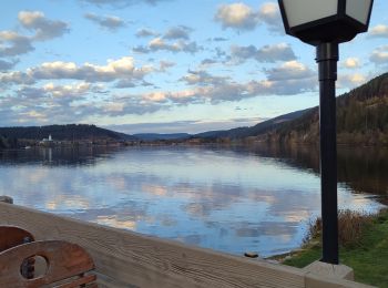 Tour Wandern Titisee-Neustadt - promenade autour du lac de Titisee, 31.10.22 - Photo