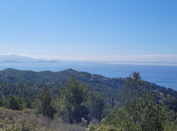 Randonnée Marche Ensuès-la-Redonne - Mejean - Photo