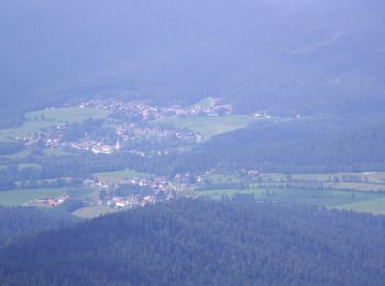 Tocht Te voet Bodenmais - Wanderweg 2a (Grün) - Photo