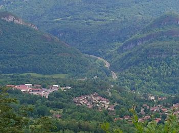 Randonnée Marche Coteaux du Lizon - cutura Belvédère de Scia  - Photo