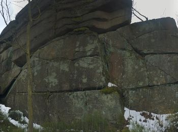 Tour Zu Fuß Zell im Fichtelgebirge - Philosophenweg - Photo