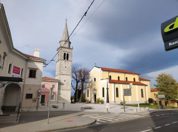 Tocht Te voet Sežana - Kosovelova pot - Photo