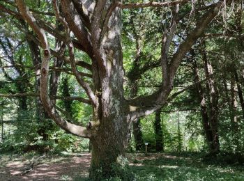 Excursión Senderismo Grospierres - SOWEL LE parc du chateau - Photo