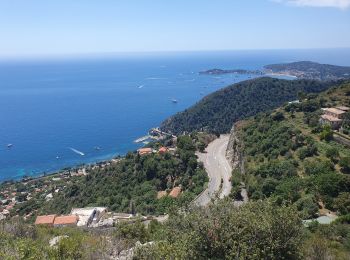 Randonnée Marche Èze - Eze mer et village / tour du mont Bastide - Photo