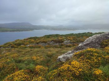 Tocht Stappen West Cork - Bere Island - Photo