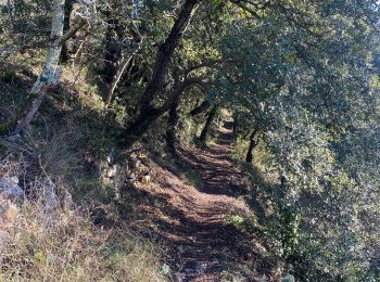 Tocht Stappen Navacelles - Les Aiguiéres au départ de Call - Photo