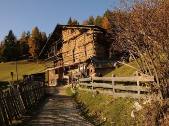 Trail On foot Santa Cristina Gherdëina - St. Christina in Gröden - Santa Cristina Valgardena - IT-32 - Photo