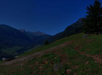 Excursión A pie Gemeinde Walchsee - Durchholzen/Walchsee - Heuberg über Hageralm - Photo