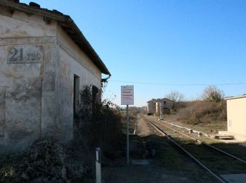 Tocht Te voet Montalcino - IT-5 - Photo