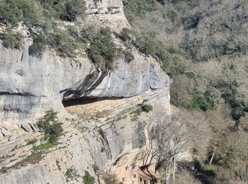 Tocht Stappen Buoux - 2024-03-15 Buoux - Sivergues - Photo